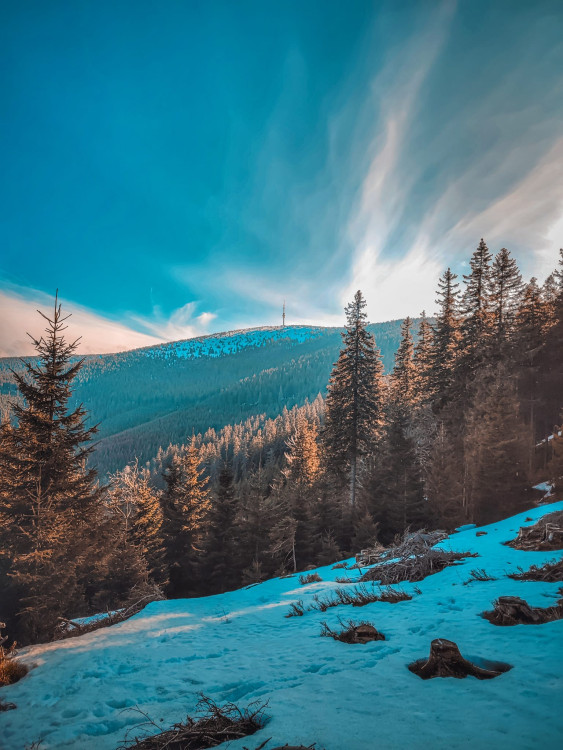 FOTOGALERIE: Jeseníky ukrývají tajemný vodní svět