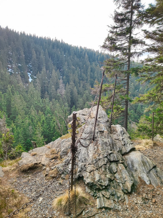 FOTOGALERIE: Jeseníky ukrývají tajemný vodní svět