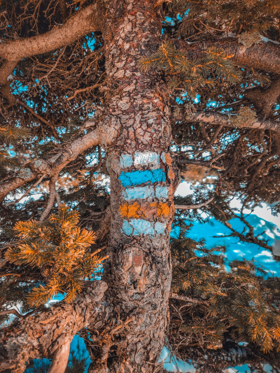 FOTOGALERIE: Jeseníky ukrývají tajemný vodní svět