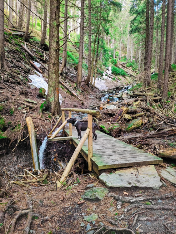 FOTOGALERIE: Jeseníky ukrývají tajemný vodní svět