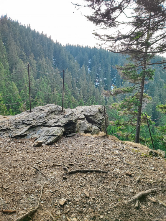 FOTOGALERIE: Jeseníky ukrývají tajemný vodní svět