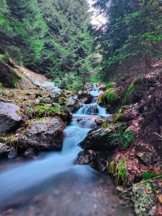 FOTOGALERIE: Jeseníky ukrývají tajemný vodní svět