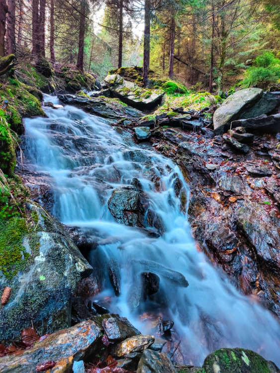 FOTOGALERIE: Jeseníky ukrývají tajemný vodní svět