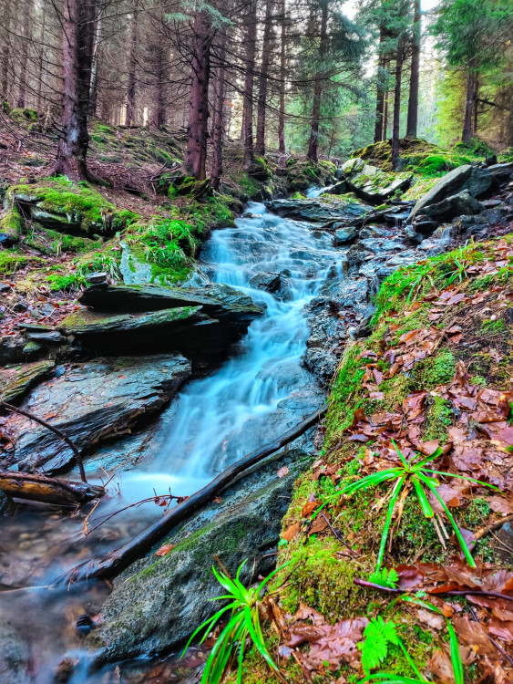FOTOGALERIE: Jeseníky ukrývají tajemný vodní svět