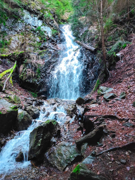 FOTOGALERIE: Jeseníky ukrývají tajemný vodní svět