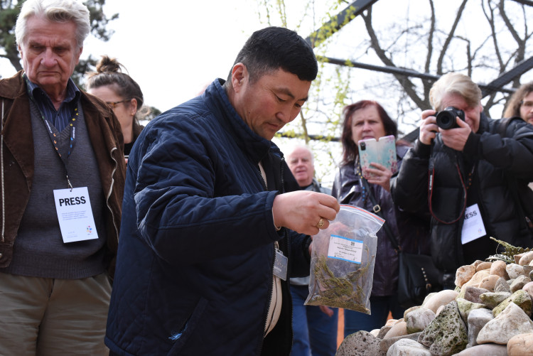 FOTOGALERIE: Nová expozice Gobi v Pražské zoo, aneb návrat "převaláků"
