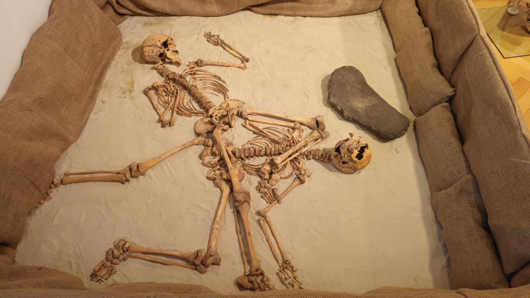 FOTOGALERIE: Teď je železný věk... Doba halštatská v srdci Moravy