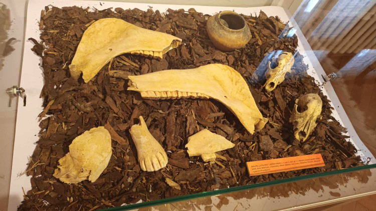 FOTOGALERIE: Teď je železný věk... Doba halštatská v srdci Moravy