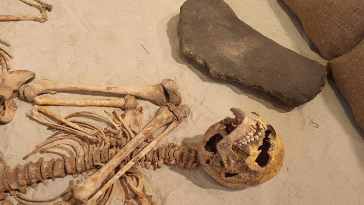 FOTOGALERIE: Teď je železný věk... Doba halštatská v srdci Moravy