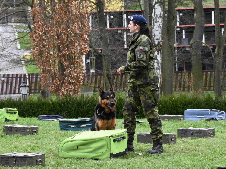 Soutěž psích specialistů na vyhledávání výbušnin a drog