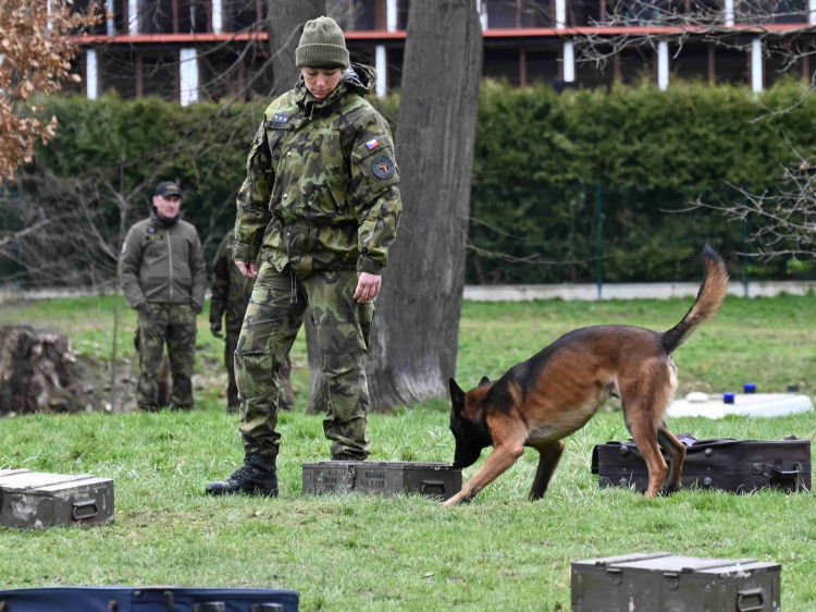 Soutěž psích specialistů na vyhledávání výbušnin a drog