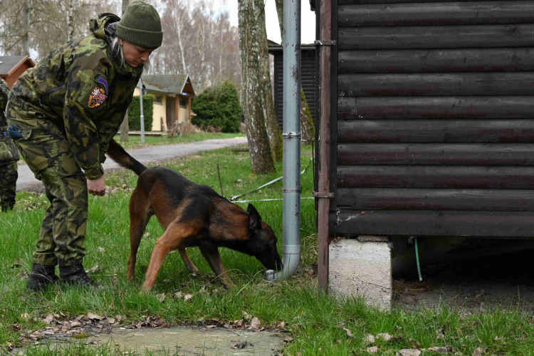 Soutěž psích specialistů na vyhledávání výbušnin a drog