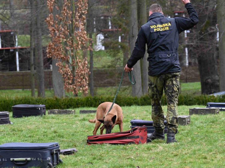Soutěž psích specialistů na vyhledávání výbušnin a drog