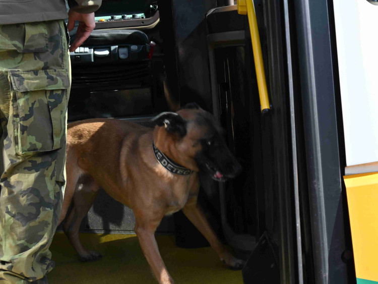 Soutěž psích specialistů na vyhledávání výbušnin a drog