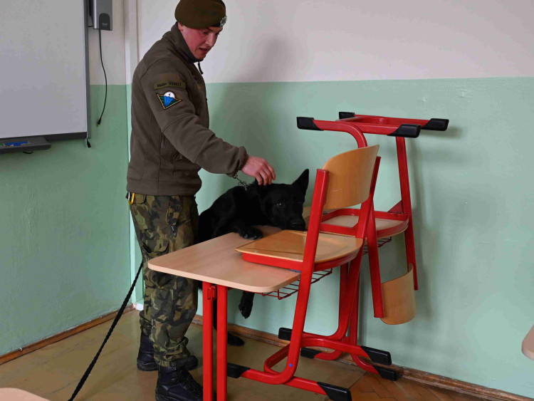 Soutěž psích specialistů na vyhledávání výbušnin a drog