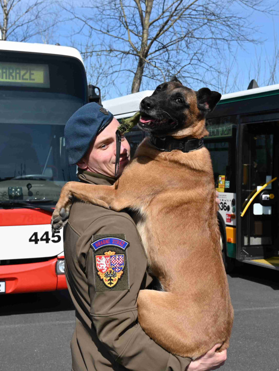 Soutěž psích specialistů na vyhledávání výbušnin a drog