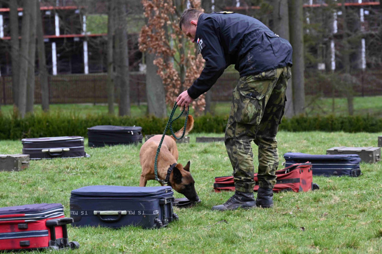Soutěž psích specialistů na vyhledávání výbušnin a drog