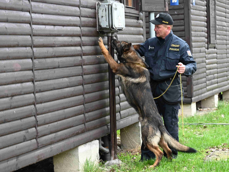 Soutěž psích specialistů na vyhledávání výbušnin a drog