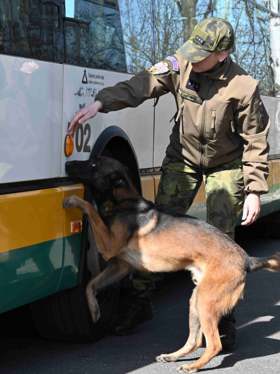 Soutěž psích specialistů na vyhledávání výbušnin a drog