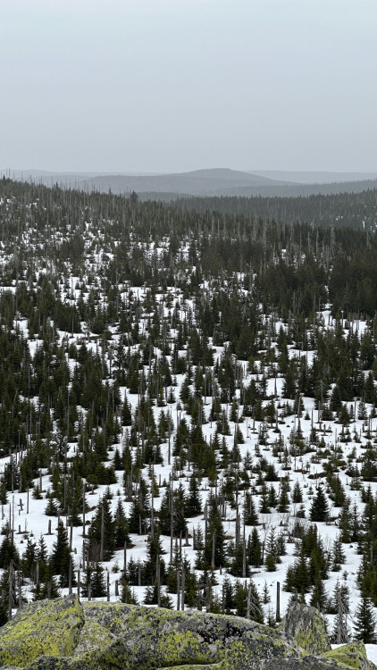 FOTOGALERIE: Výstup na Luzný