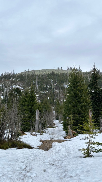 FOTOGALERIE: Výstup na Luzný