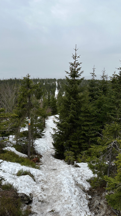 FOTOGALERIE: Výstup na Luzný