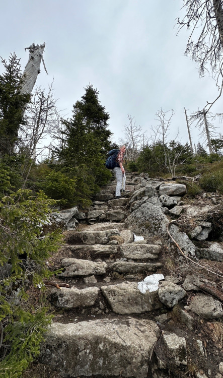 FOTOGALERIE: Výstup na Luzný