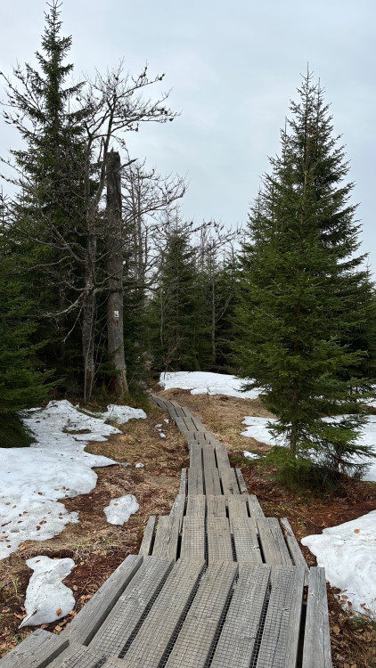 FOTOGALERIE: Výstup na Luzný