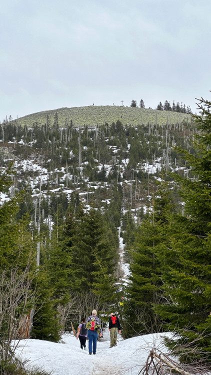 FOTOGALERIE: Výstup na Luzný