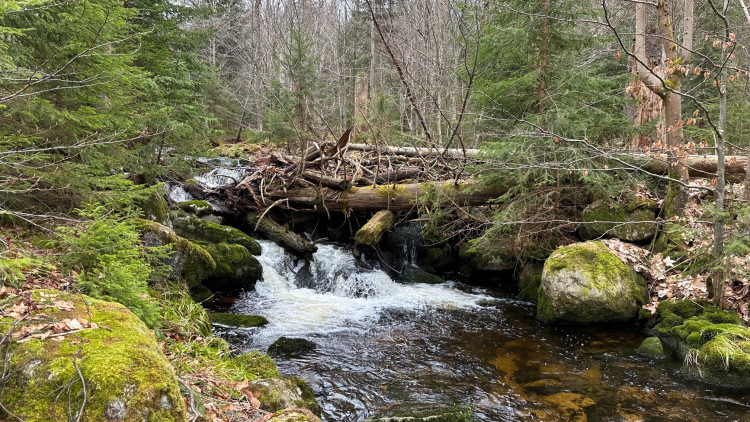 FOTOGALERIE: Výstup na Luzný