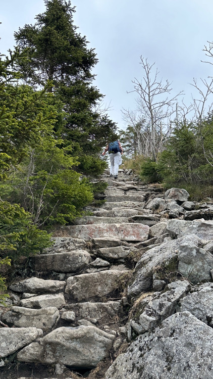 FOTOGALERIE: Výstup na Luzný