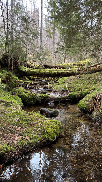 FOTOGALERIE: Výstup na Luzný