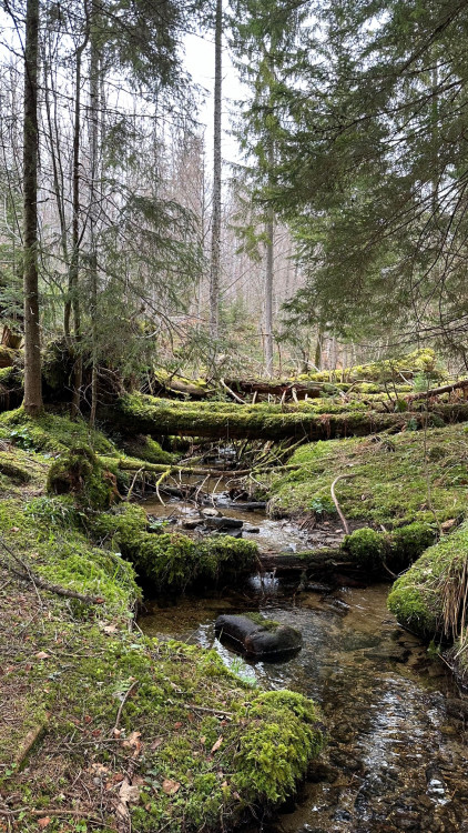 FOTOGALERIE: Výstup na Luzný