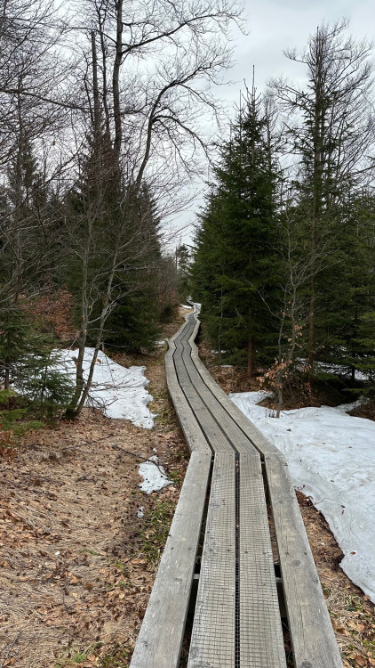 FOTOGALERIE: Výstup na Luzný