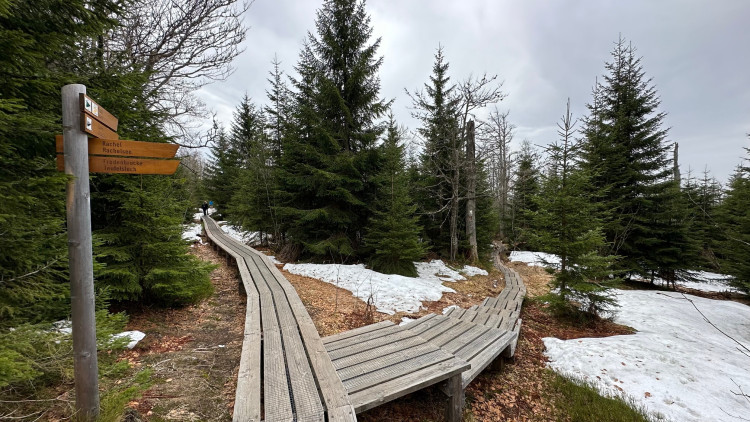 FOTOGALERIE: Výstup na Luzný