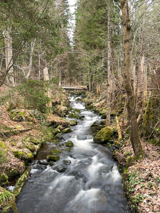 FOTOGALERIE: Výstup na Luzný