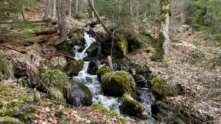 FOTOGALERIE: Výstup na Luzný