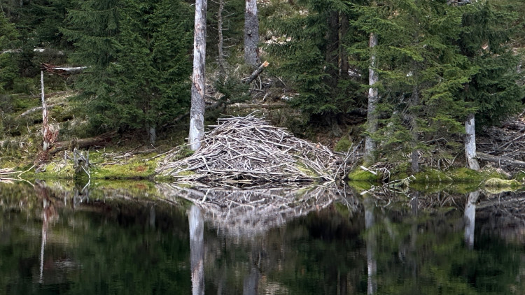 FOTOGALERIE: Výstup na Luzný