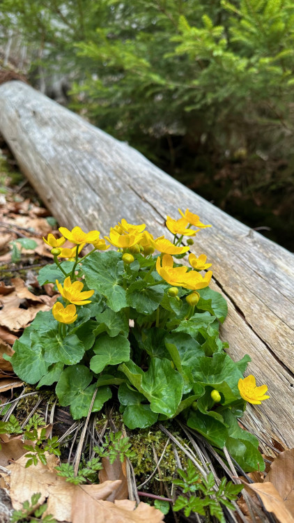 FOTOGALERIE: Výstup na Luzný