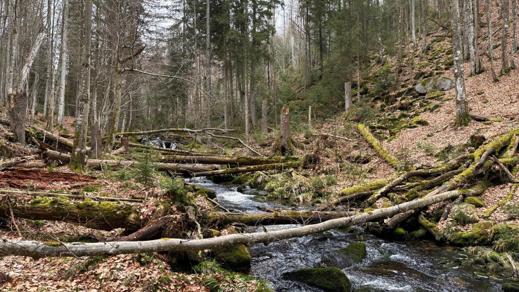 FOTOGALERIE: Výstup na Luzný