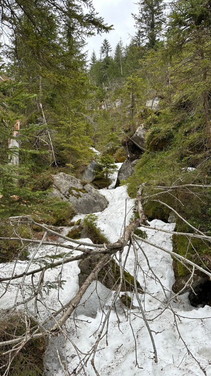 FOTOGALERIE: Výstup na Luzný