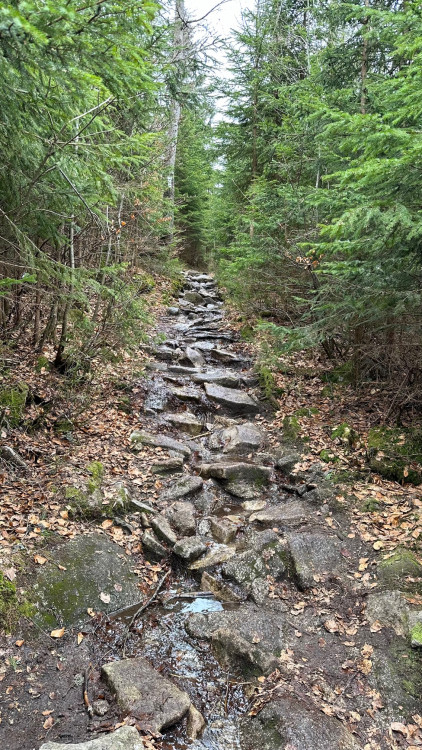 FOTOGALERIE: Výstup na Luzný