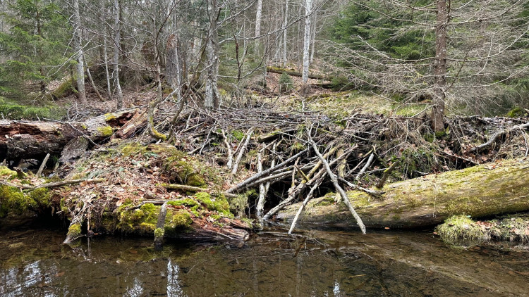FOTOGALERIE: Výstup na Luzný