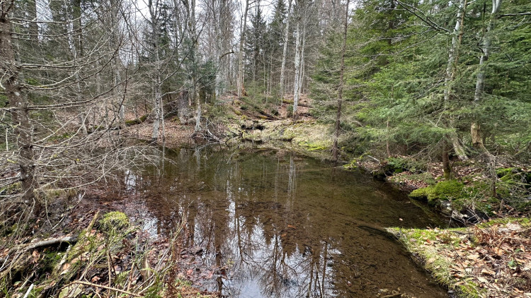 FOTOGALERIE: Výstup na Luzný