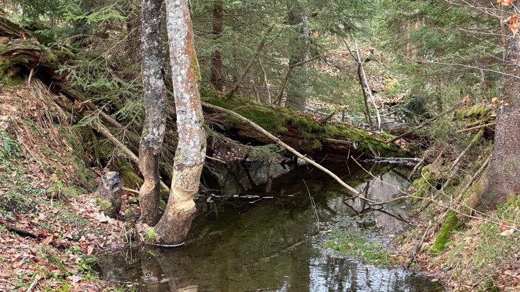FOTOGALERIE: Výstup na Luzný