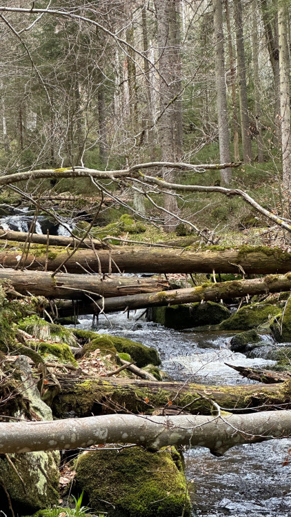 FOTOGALERIE: Výstup na Luzný