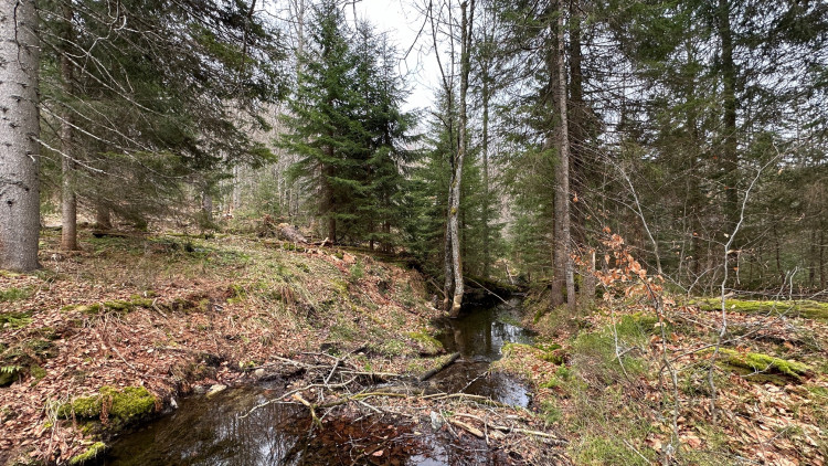 FOTOGALERIE: Výstup na Luzný