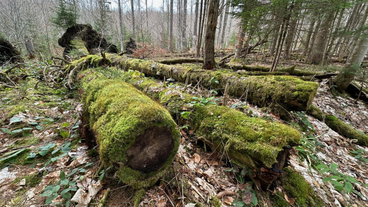 FOTOGALERIE: Výstup na Luzný