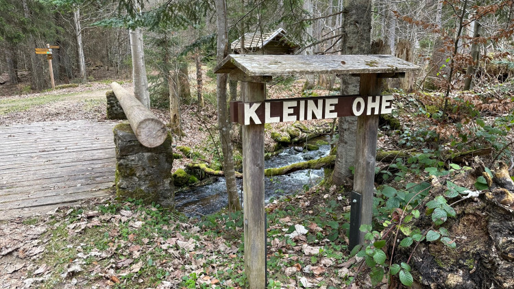 FOTOGALERIE: Výstup na Luzný