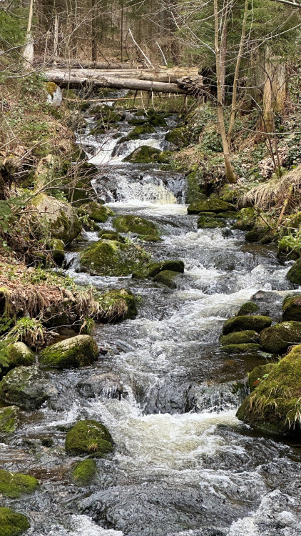 FOTOGALERIE: Výstup na Luzný